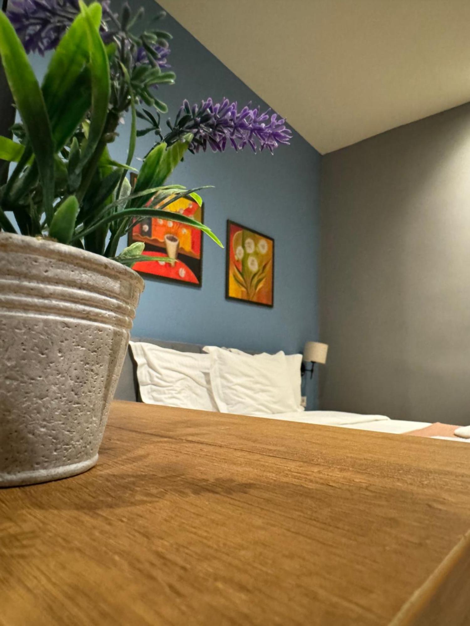 Hotel Tirona Tirana Zewnętrze zdjęcie